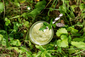 Smoothie im Glas mit Strohhalm und Minzblüte, Draufsicht, steht auf bewachsenem Boden Smoothie im Glas mit Strohhalm und Minzblüte, Draufsicht, steht auf bewachsenem Boden